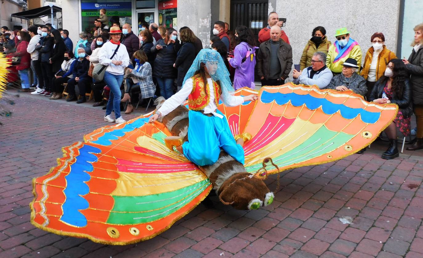 Fotos: Desfile del Carnaval de Navalmoral