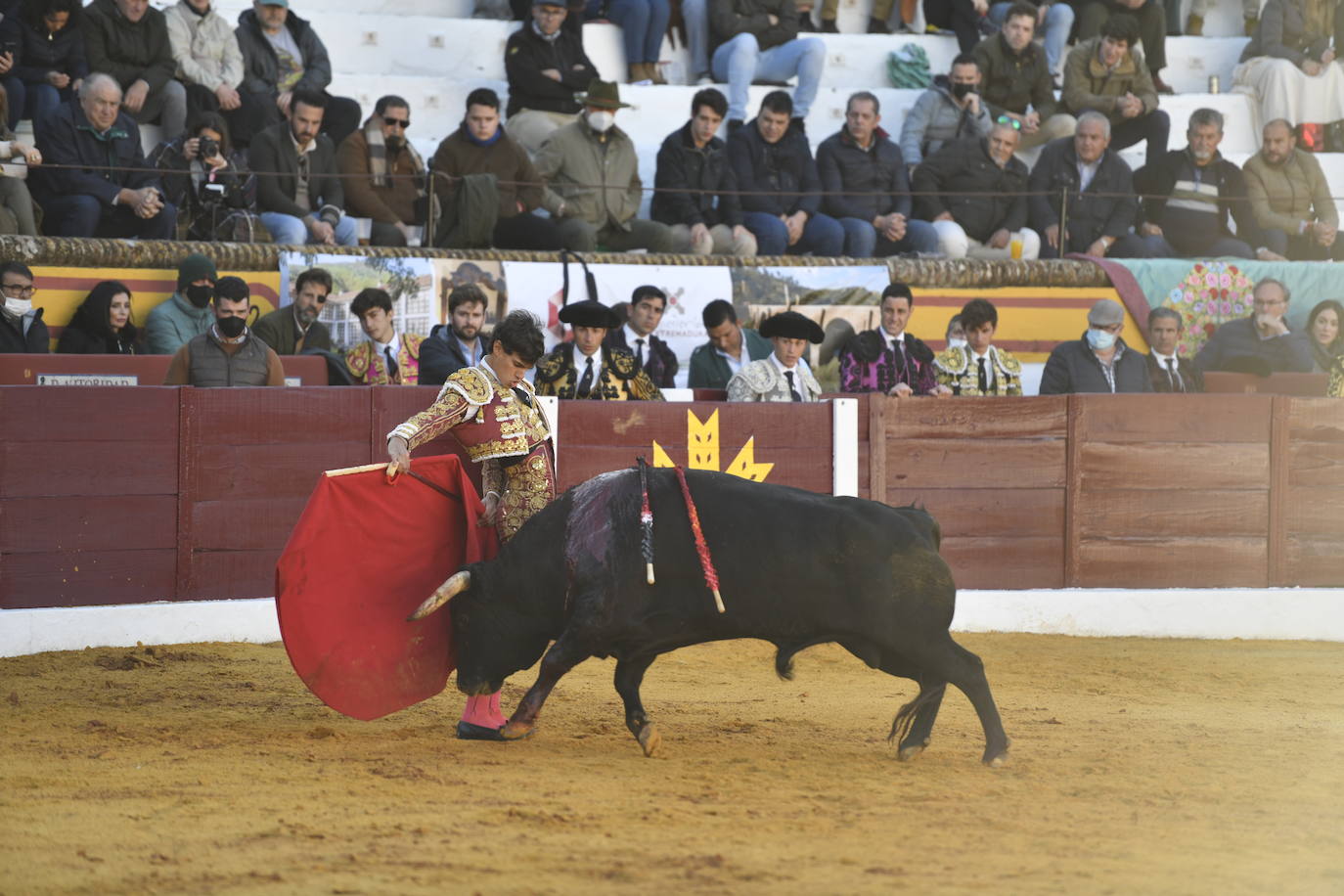 Fotos: Primer festejo de la Feria de Olivenza: Novillada con Carlos Domínguez, Manuel Perera y Eric Olivera