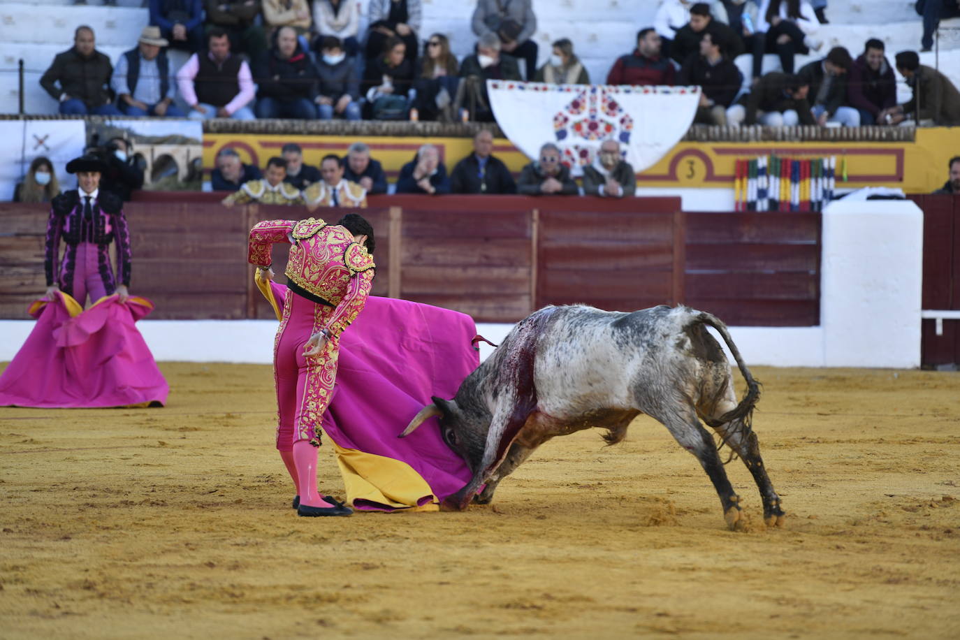 Fotos: Primer festejo de la Feria de Olivenza: Novillada con Carlos Domínguez, Manuel Perera y Eric Olivera