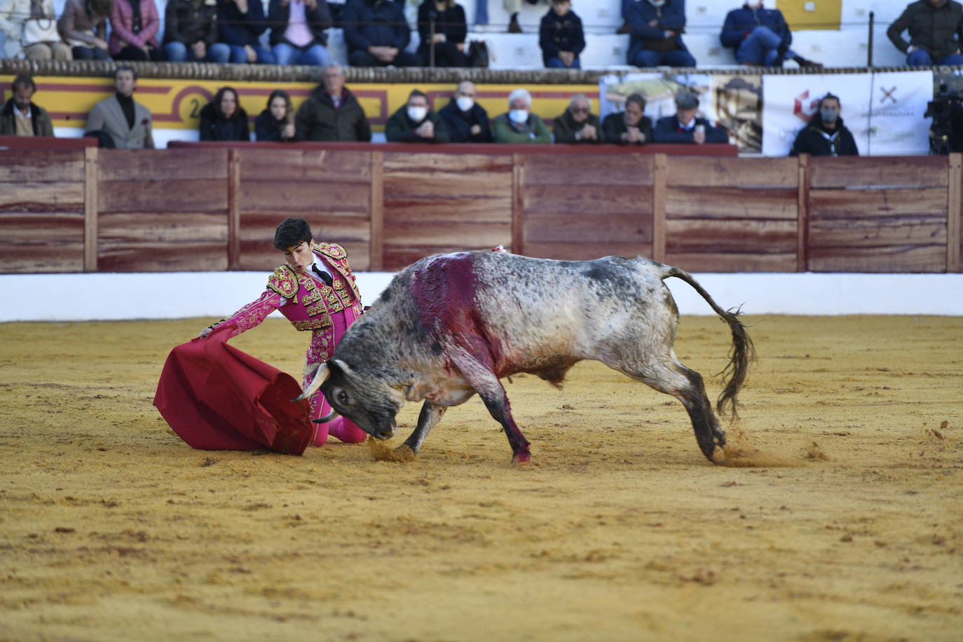 Fotos: Primer festejo de la Feria de Olivenza: Novillada con Carlos Domínguez, Manuel Perera y Eric Olivera