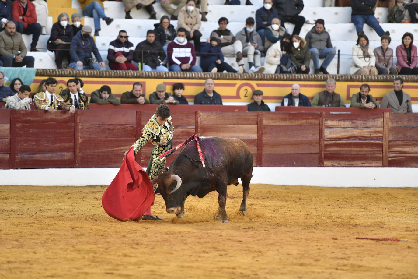 Fotos: Primer festejo de la Feria de Olivenza: Novillada con Carlos Domínguez, Manuel Perera y Eric Olivera