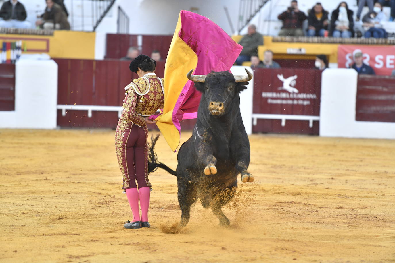 Fotos: Primer festejo de la Feria de Olivenza: Novillada con Carlos Domínguez, Manuel Perera y Eric Olivera