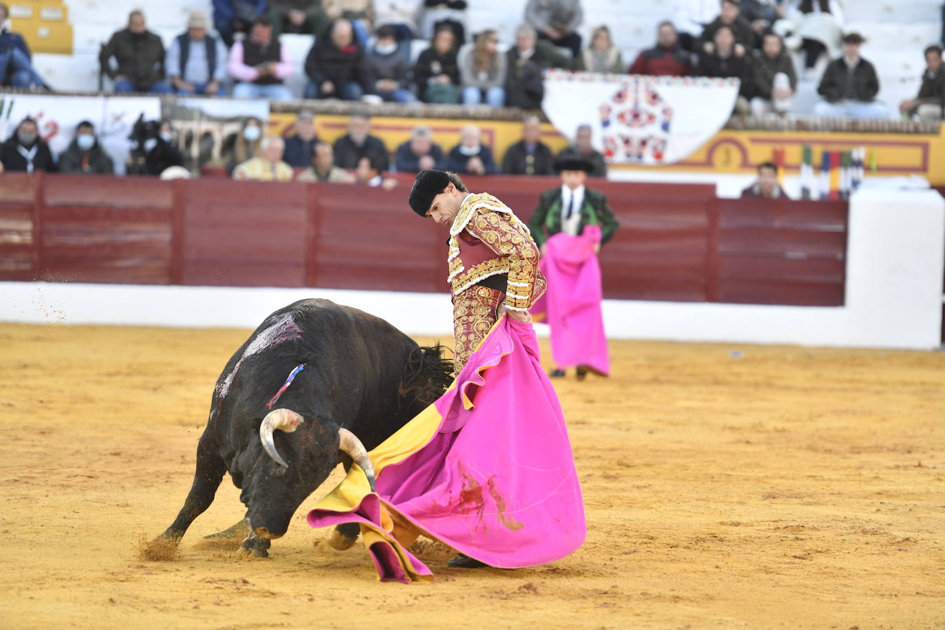 Fotos: Primer festejo de la Feria de Olivenza: Novillada con Carlos Domínguez, Manuel Perera y Eric Olivera