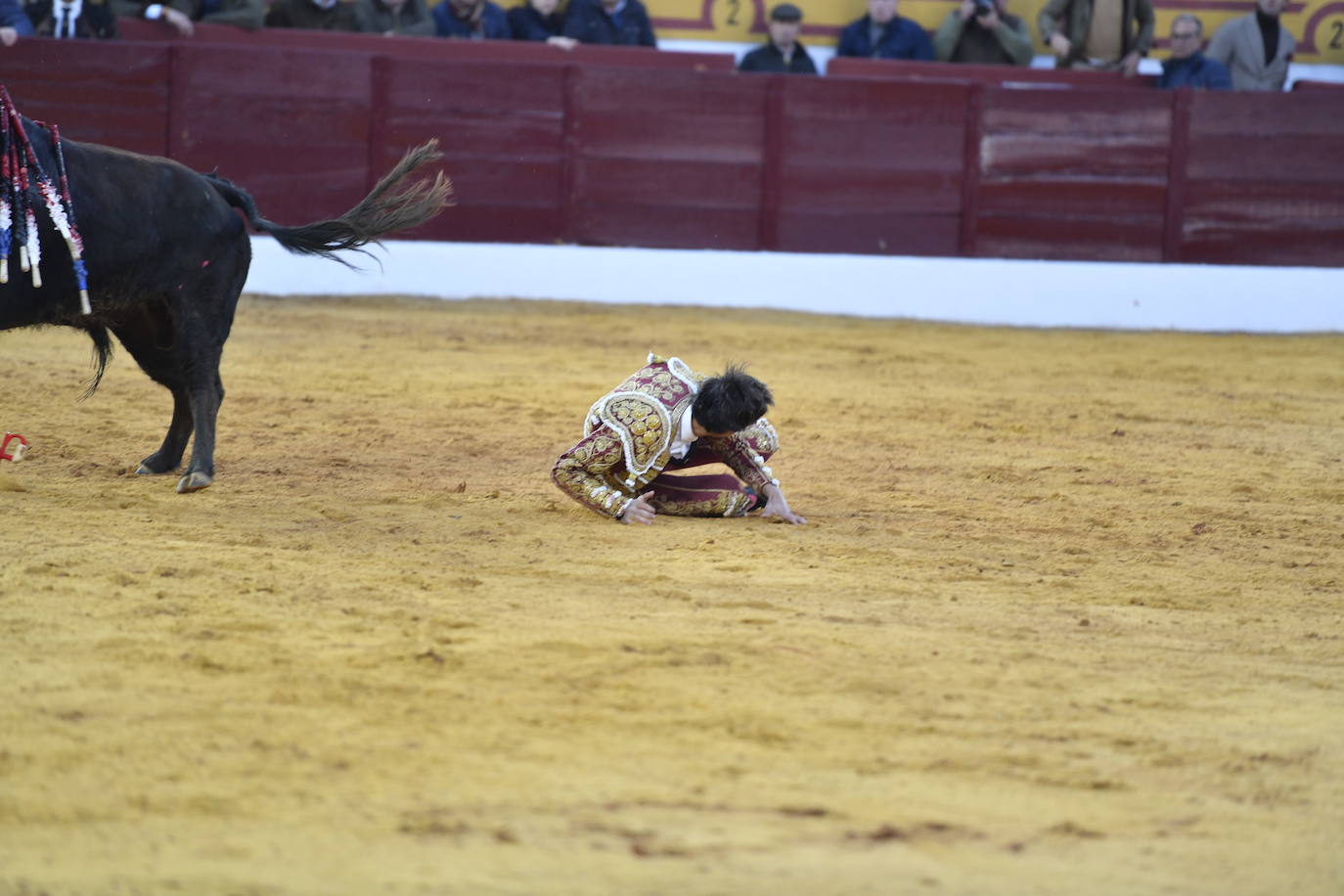 Fotos: Primer festejo de la Feria de Olivenza: Novillada con Carlos Domínguez, Manuel Perera y Eric Olivera