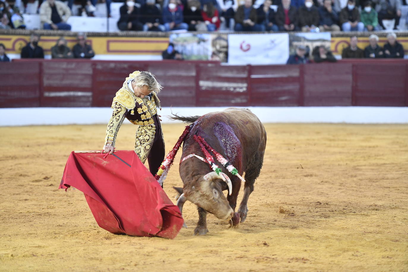 Fotos: Segunda novillada de Olivenza: Lalo de María, Alejandro Adame y Raquel Martín