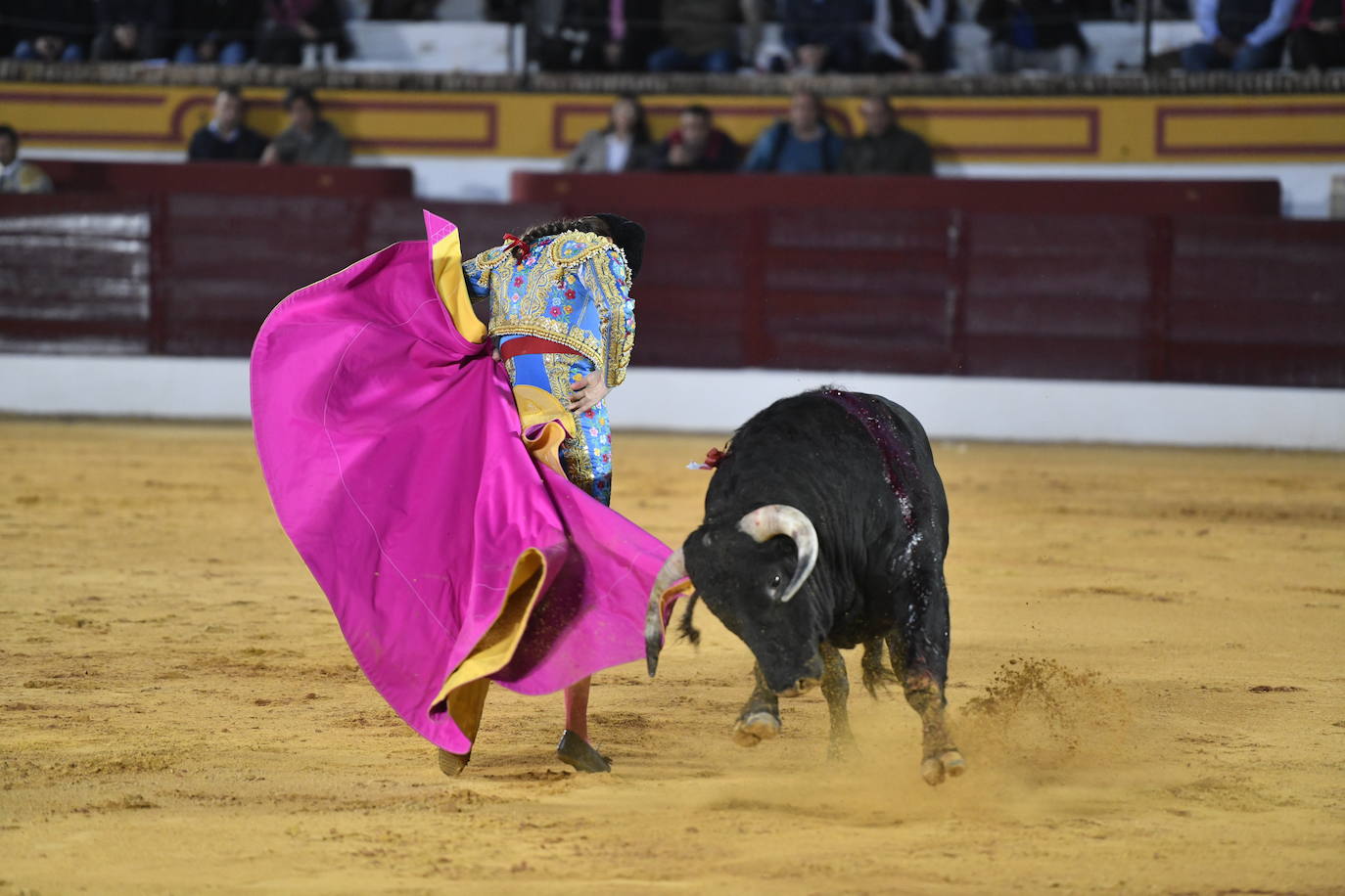 Fotos: Segunda novillada de Olivenza: Lalo de María, Alejandro Adame y Raquel Martín