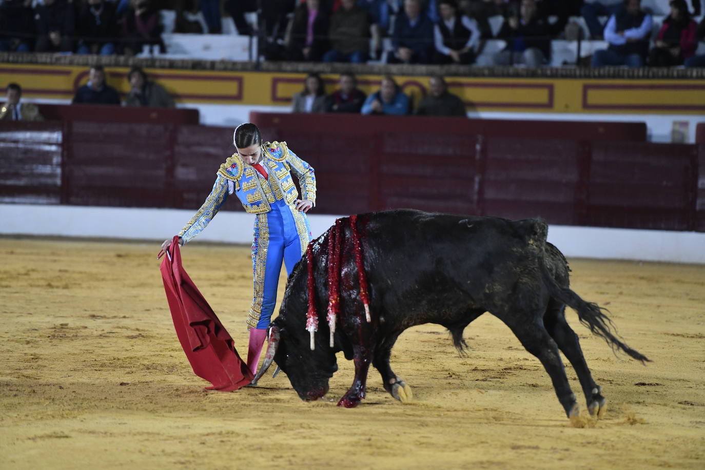 Fotos: Segunda novillada de Olivenza: Lalo de María, Alejandro Adame y Raquel Martín