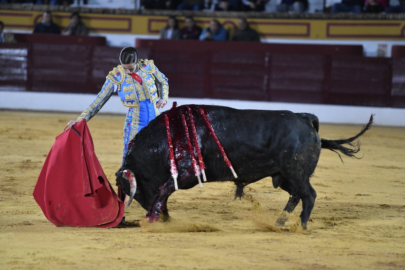 Fotos: Segunda novillada de Olivenza: Lalo de María, Alejandro Adame y Raquel Martín