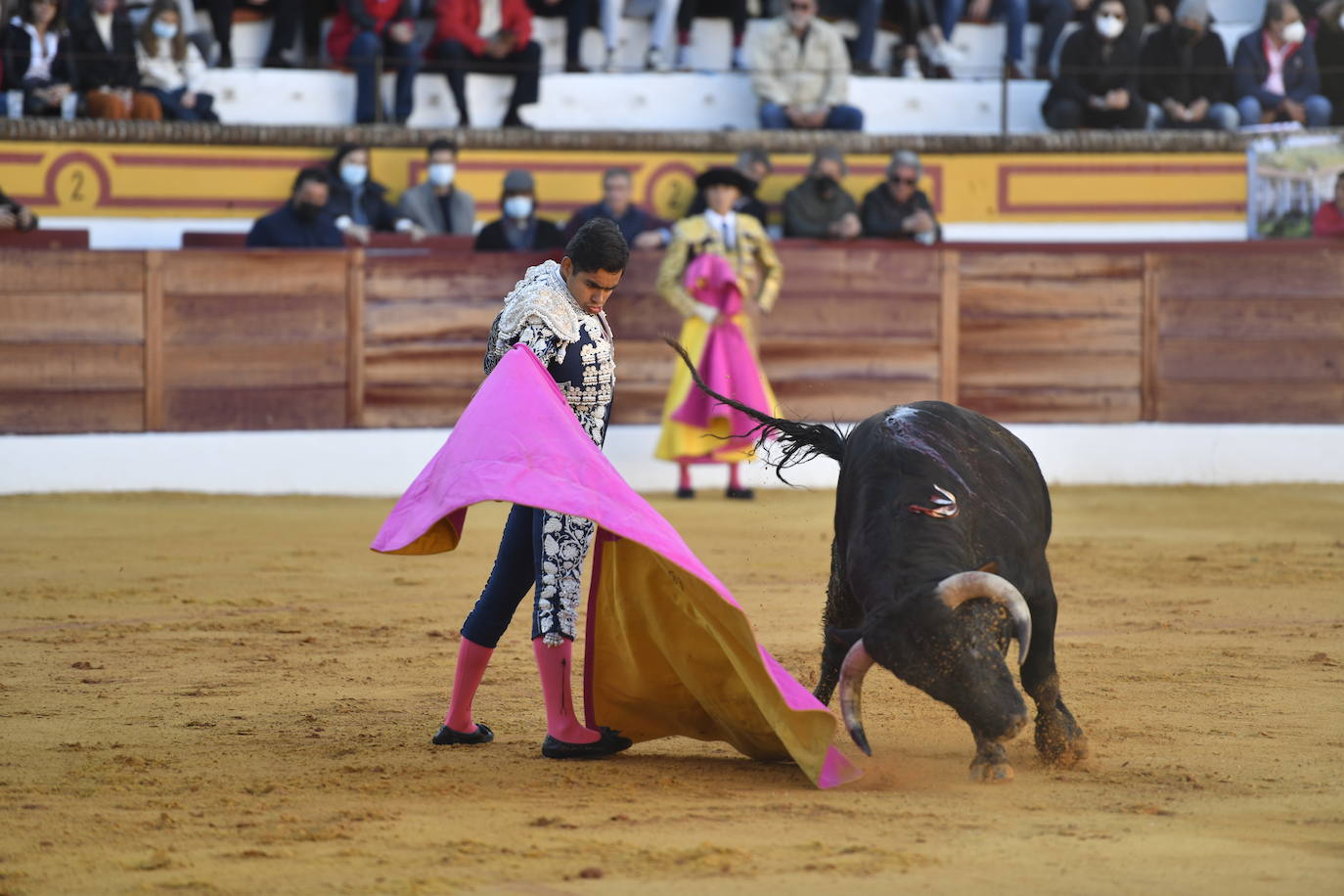 Fotos: Segunda novillada de Olivenza: Lalo de María, Alejandro Adame y Raquel Martín