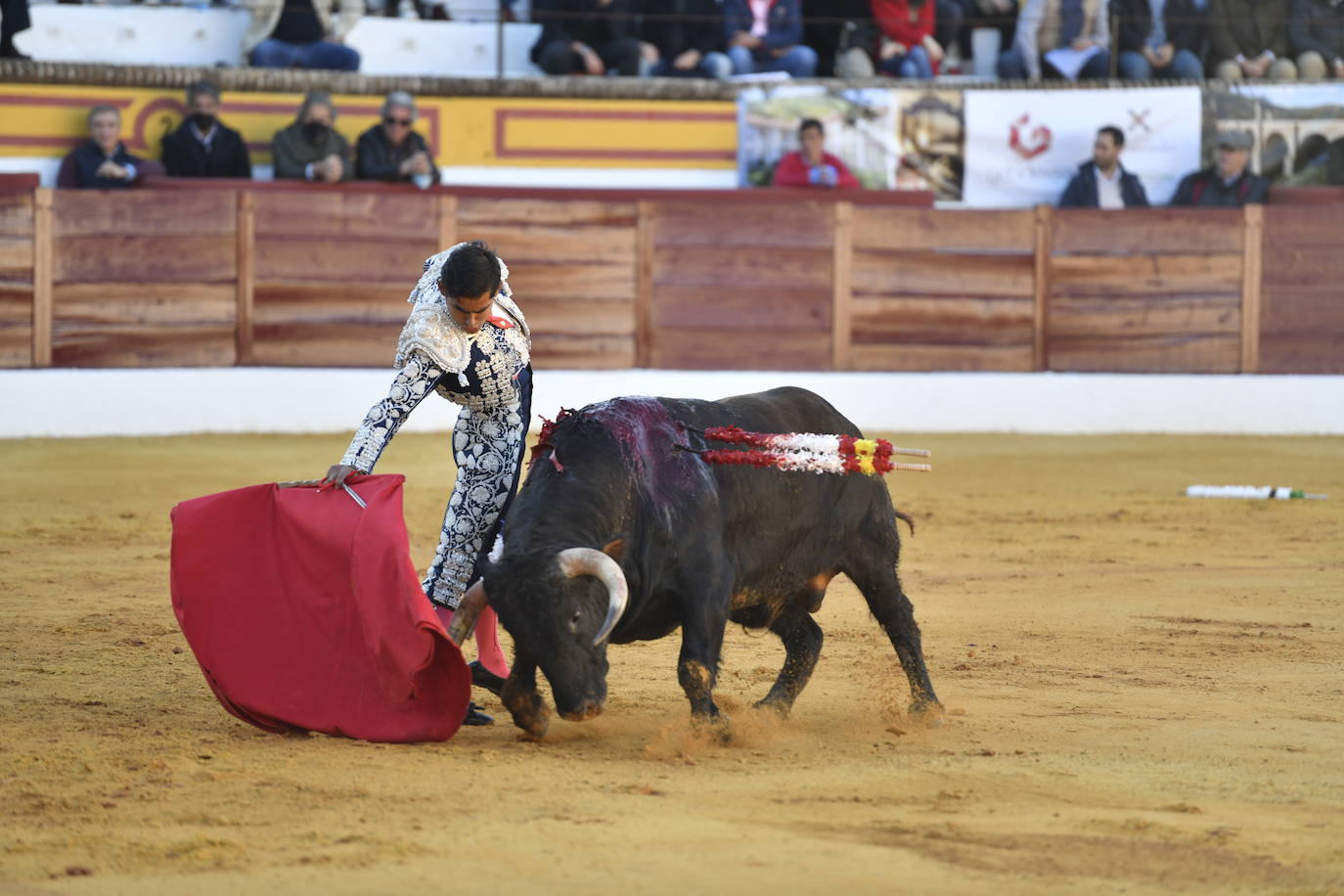 Fotos: Segunda novillada de Olivenza: Lalo de María, Alejandro Adame y Raquel Martín