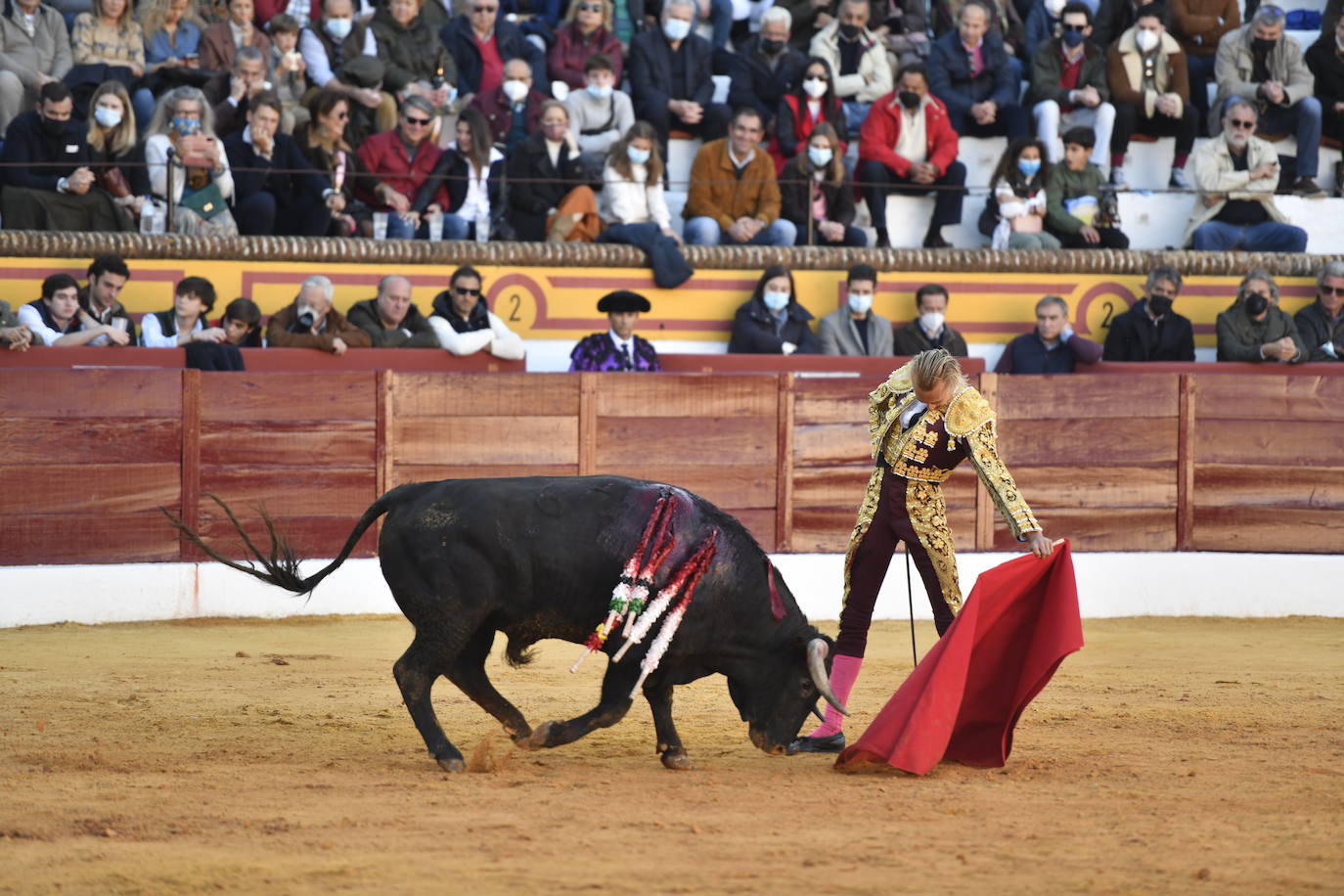 Fotos: Segunda novillada de Olivenza: Lalo de María, Alejandro Adame y Raquel Martín