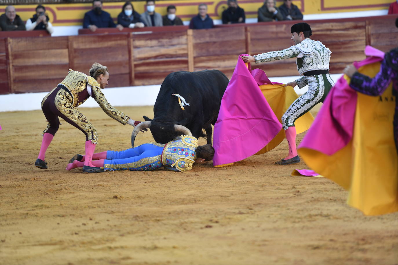 Fotos: Segunda novillada de Olivenza: Lalo de María, Alejandro Adame y Raquel Martín