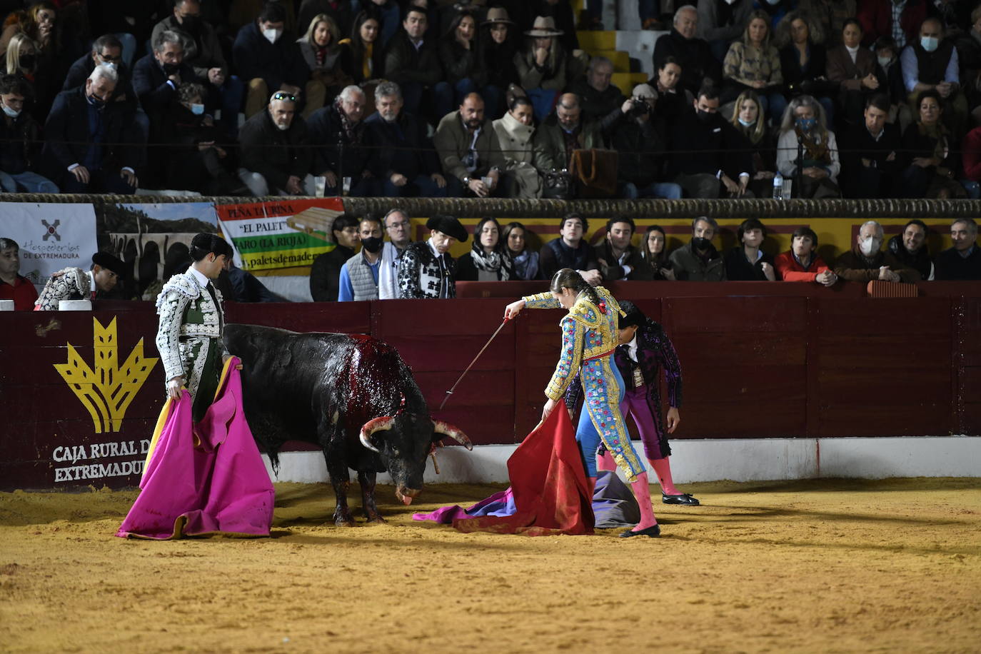 Fotos: Segunda novillada de Olivenza: Lalo de María, Alejandro Adame y Raquel Martín