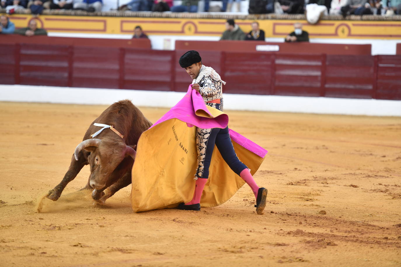 Fotos: Segunda novillada de Olivenza: Lalo de María, Alejandro Adame y Raquel Martín