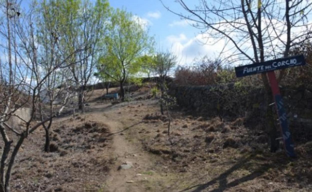 Una de las fotografías aportadas por el colectivo vecinal en la Fuente del Corcho. 