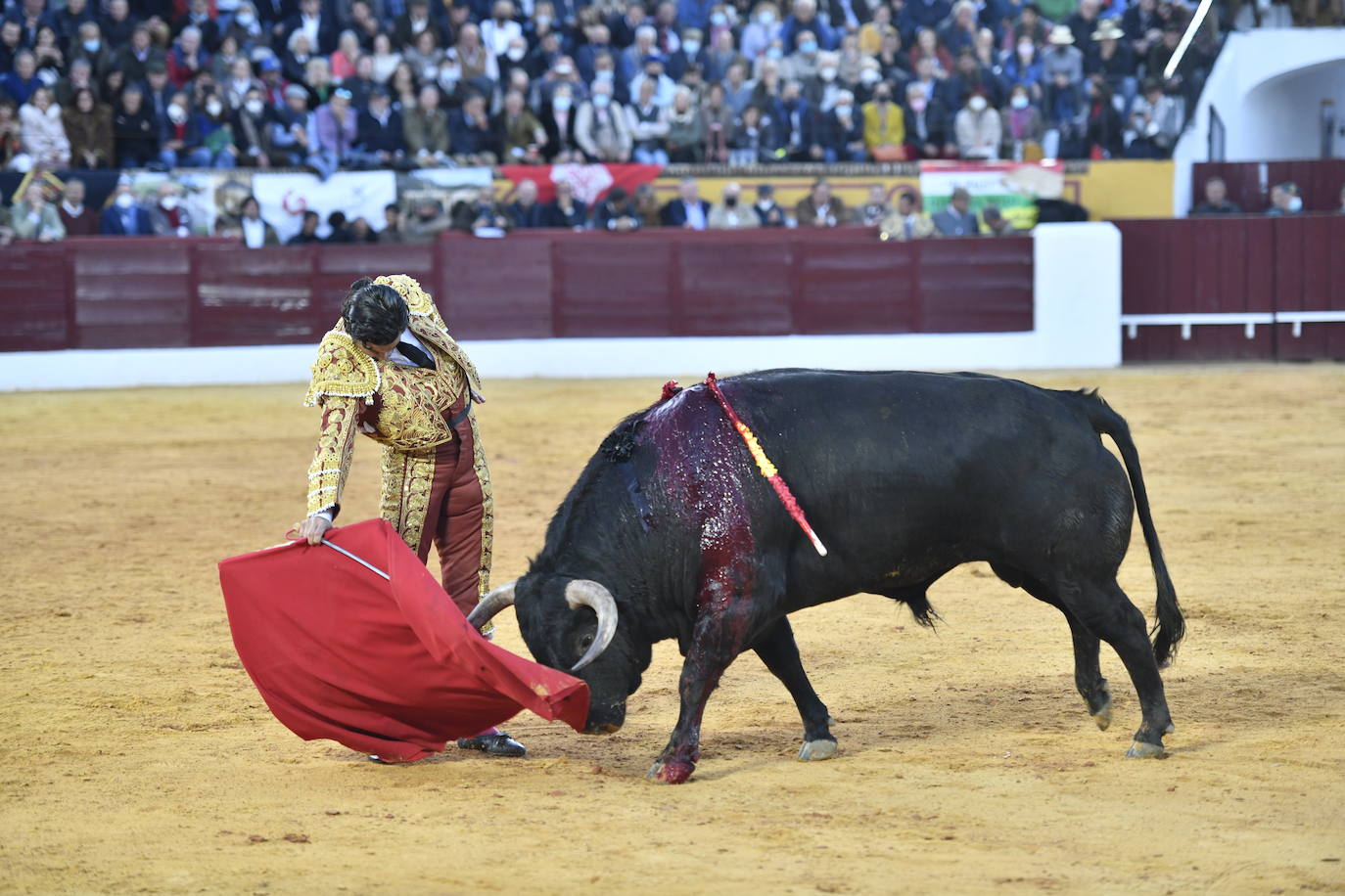 Fotos: En imágenes | La primera corrida de toros de Olivenza con Morante de la Puebla, El Juli y Emilio de Justo