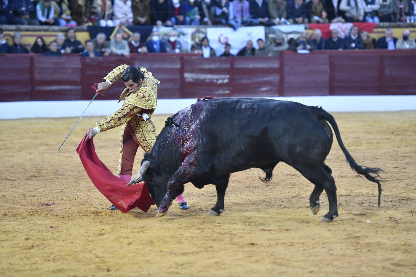 Fotos: En imágenes | La primera corrida de toros de Olivenza con Morante de la Puebla, El Juli y Emilio de Justo