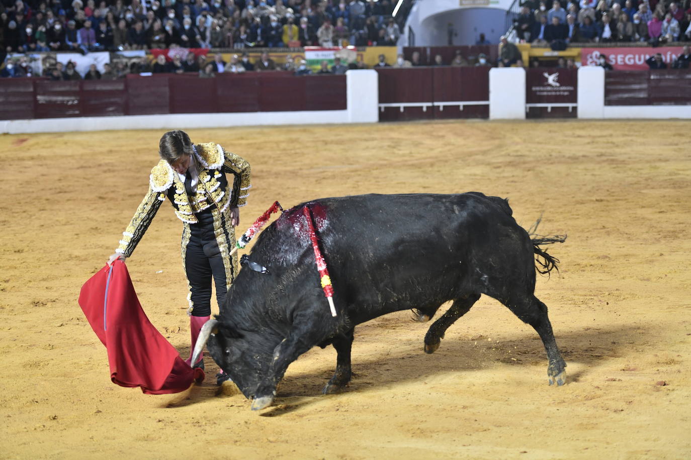 Fotos: En imágenes | La primera corrida de toros de Olivenza con Morante de la Puebla, El Juli y Emilio de Justo