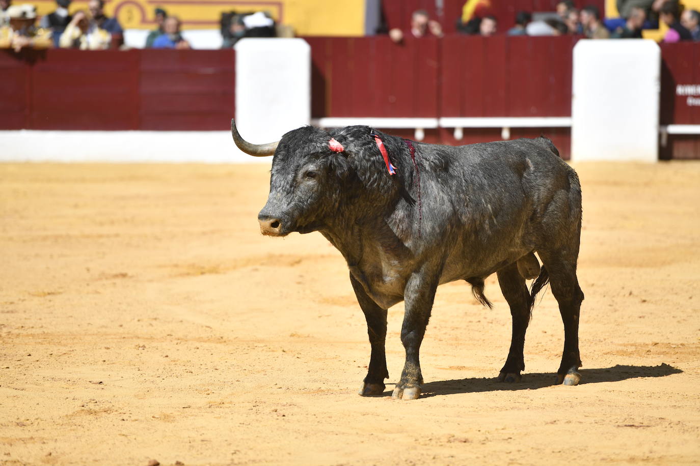 Fotos: La encerrona de Ferrera con seis toros de Victorino, en imágenes