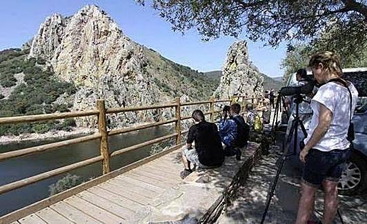 Observación de aves en el Salto del Gitano. 