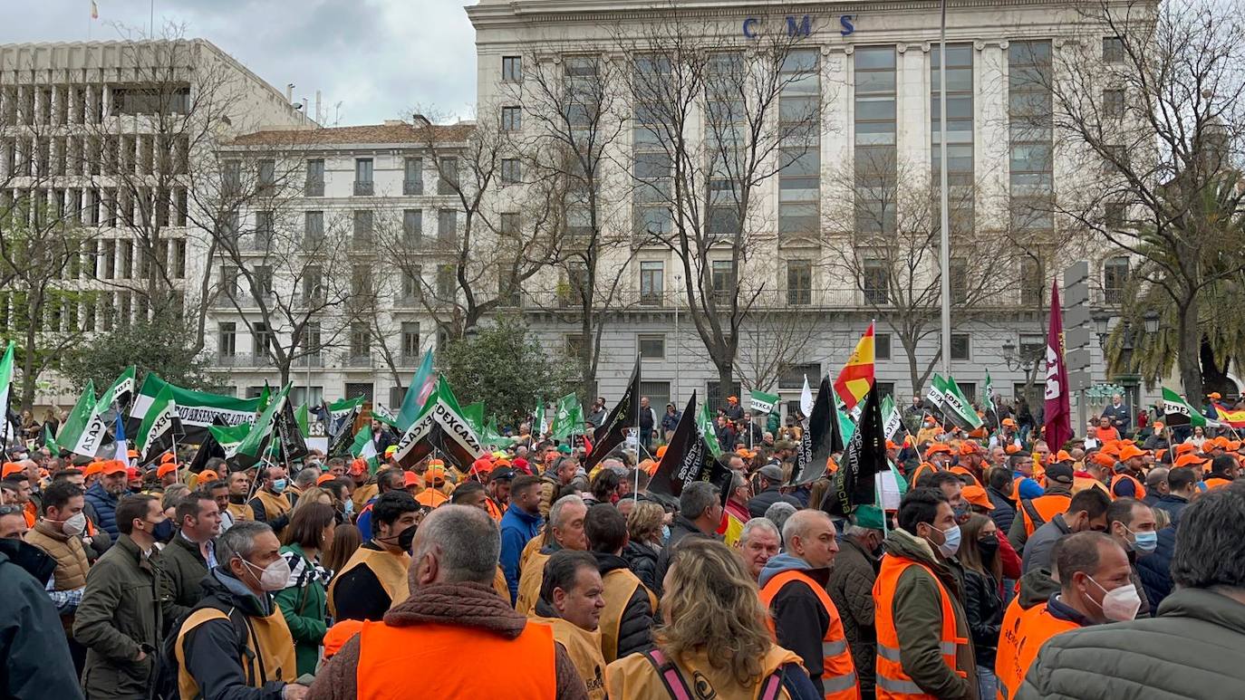 Fotos: El mundo rural extremeño exhibe fuerza en Madrid