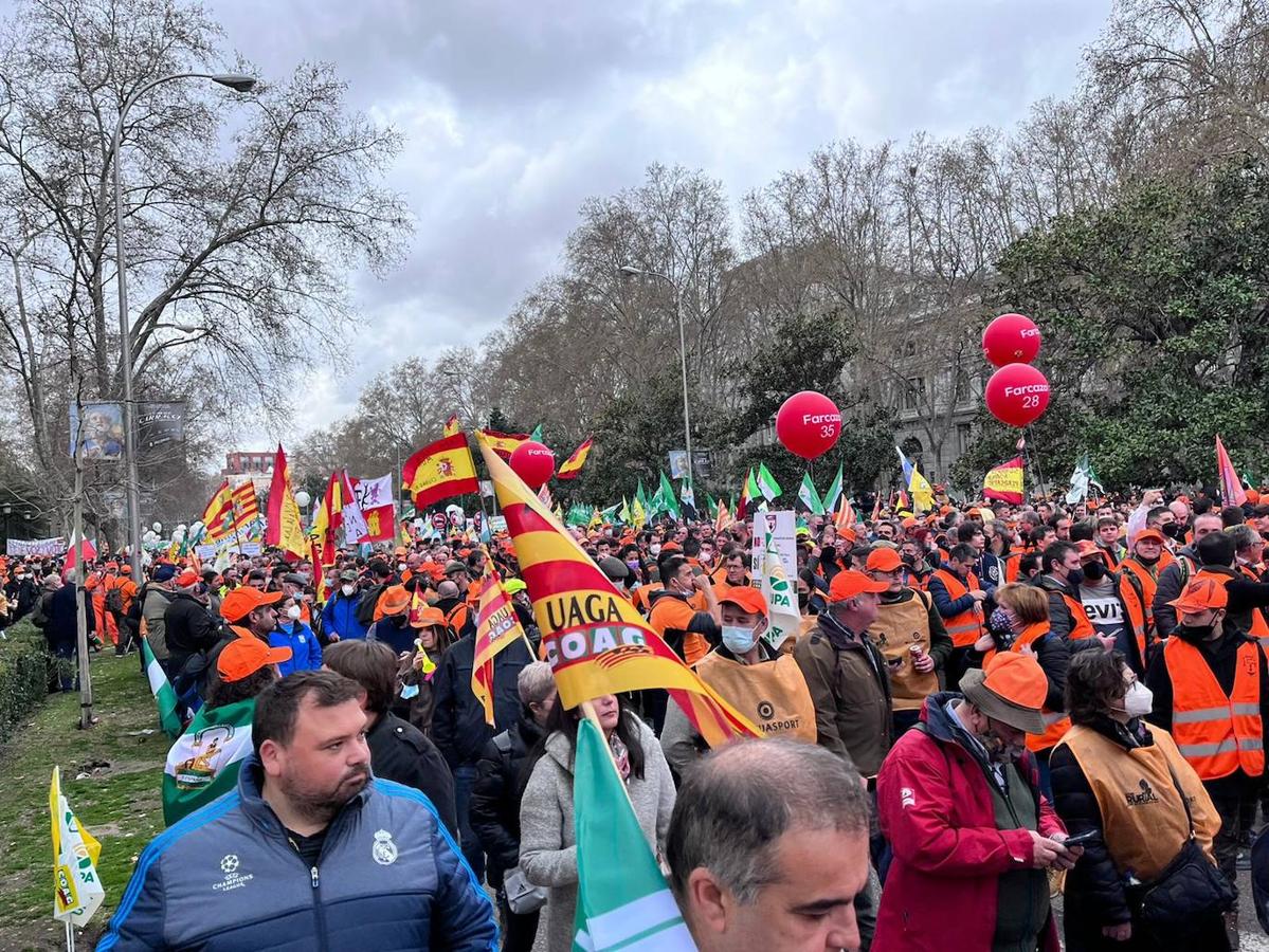 Fotos: El mundo rural extremeño exhibe fuerza en Madrid