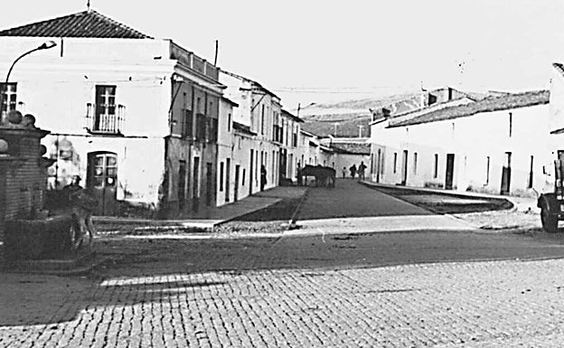 Imagen principal - Robar un testículo para curarse un resfriado