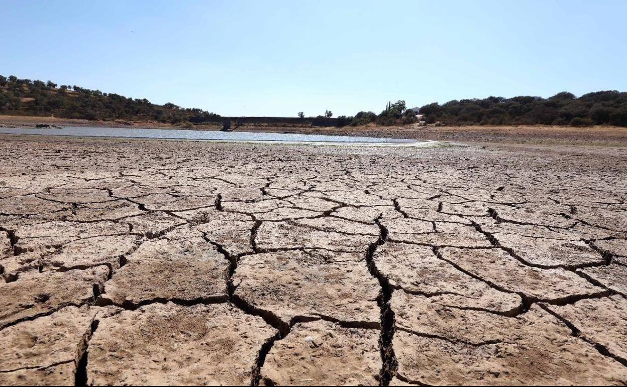 UPA-UCE cifra en 180 millones de euros las pérdidas por la sequía