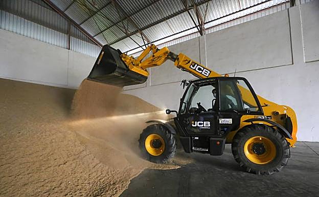 Queda muy poco grano en las naves a estas alturas del año. En la imagen, cooperativa Agrollerena.