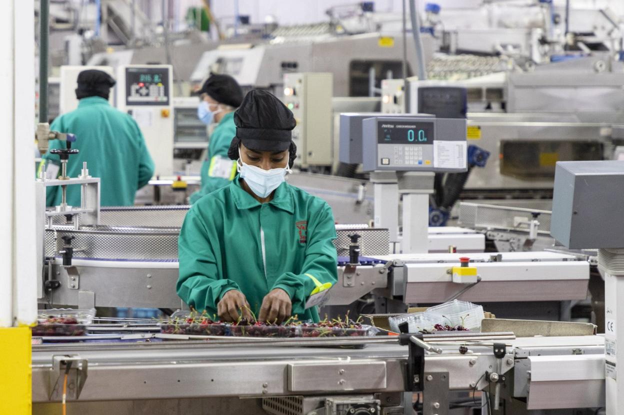 Cooperativa agroalimentaria extremeña. 