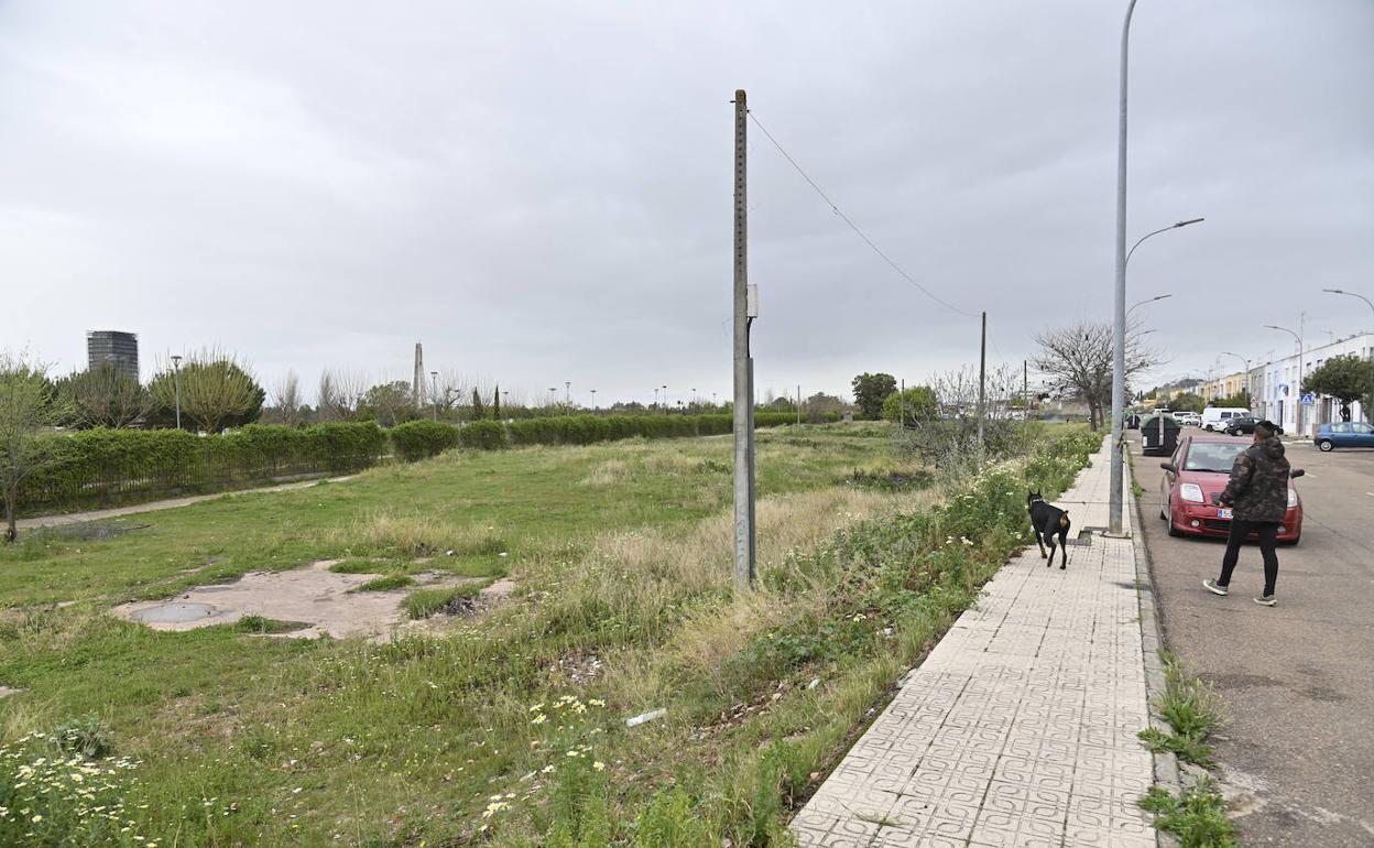 Los terrenos entre Las Moreras y el parque del río en los que se harán los huertos. 