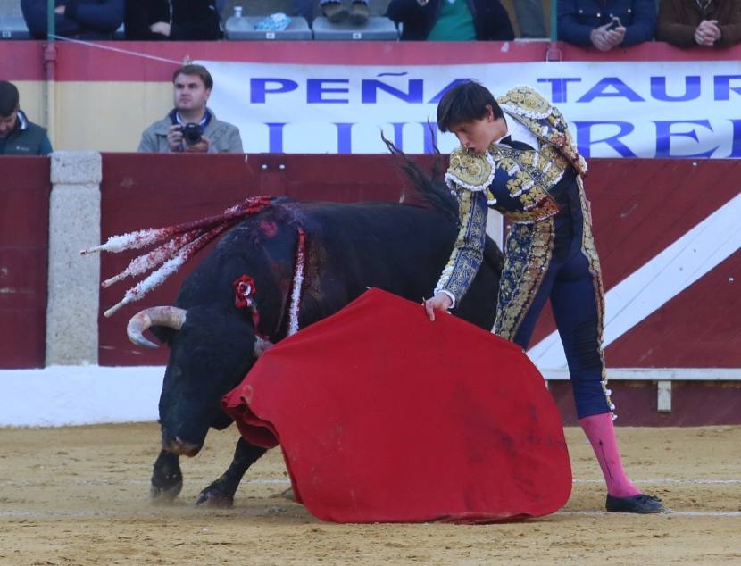 Fotos: Morante, Roca Rey de Emilio de Justo salen a hombros en Almendralejo