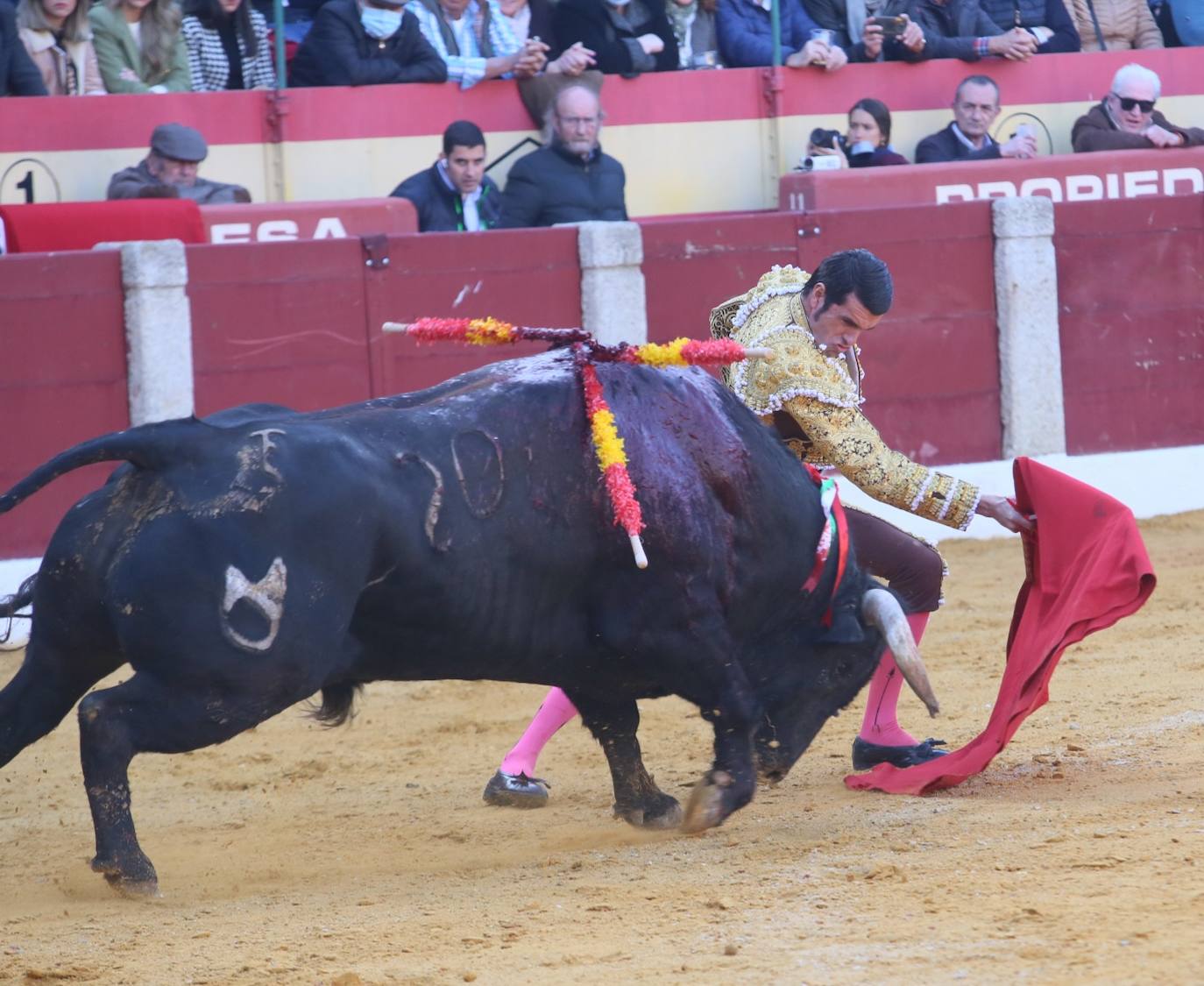 Fotos: Morante, Roca Rey de Emilio de Justo salen a hombros en Almendralejo