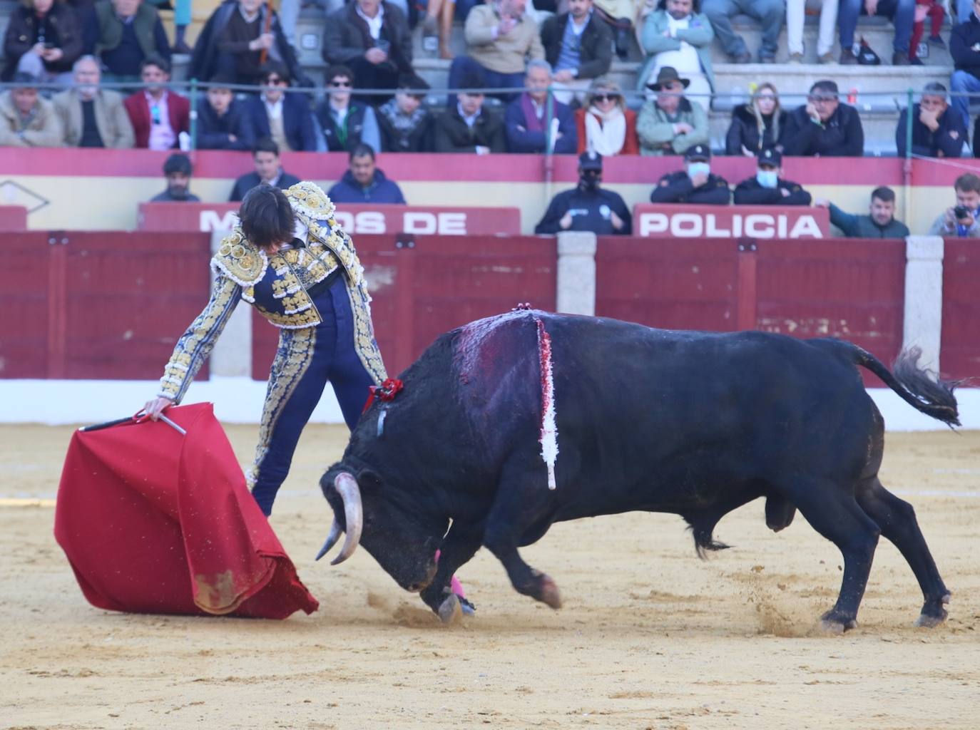 Fotos: Morante, Roca Rey de Emilio de Justo salen a hombros en Almendralejo