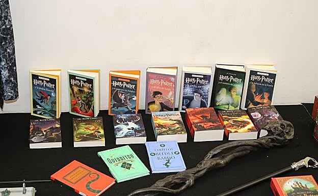 Colección de libros de Harry Potter de Víctor Gallardo. 