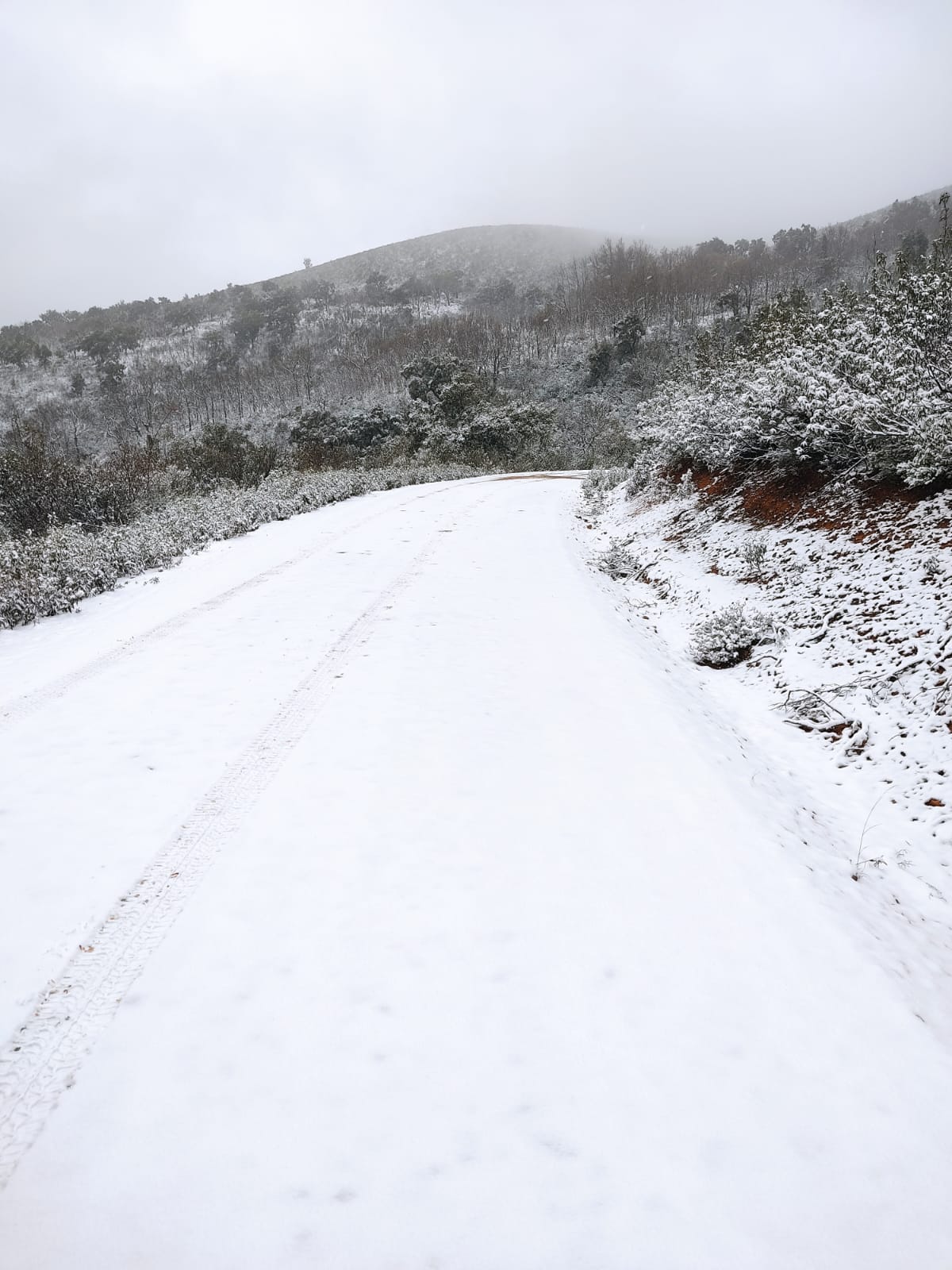 Fotos: Nieve caída en la zona de las Villuercas en pleno mes de abril