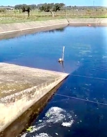 Imagen secundaria 2 - Arriba, imagen de archivo de La Charca de Casar de Cáceres. Abajo a la izquierda las tencas en sus cajas. A la derecha, el lugar al que se trasladan.