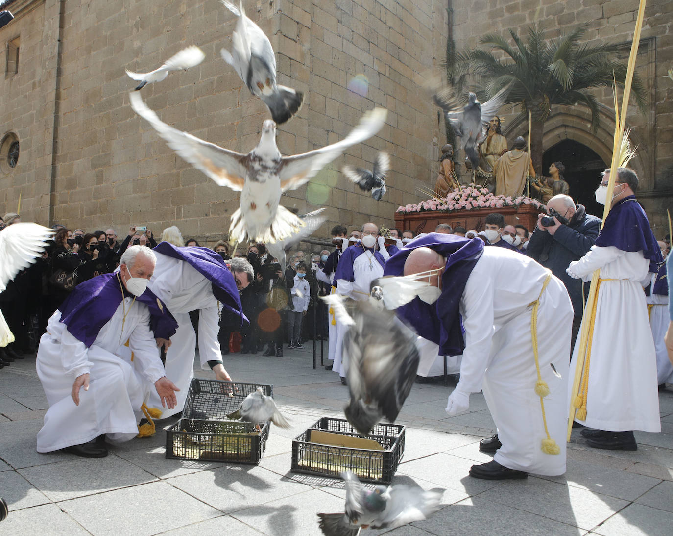Fotos: Las mejores imágenes del Domingo de Ramos en Cáceres