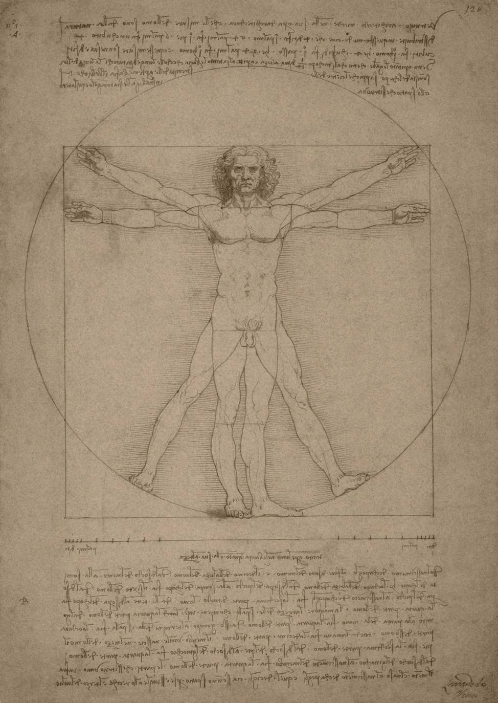 El hombre de Vitruvio de Leonardo da Vinci.