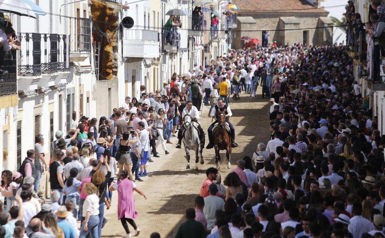 Dos jinetes corren con sus caballos. 