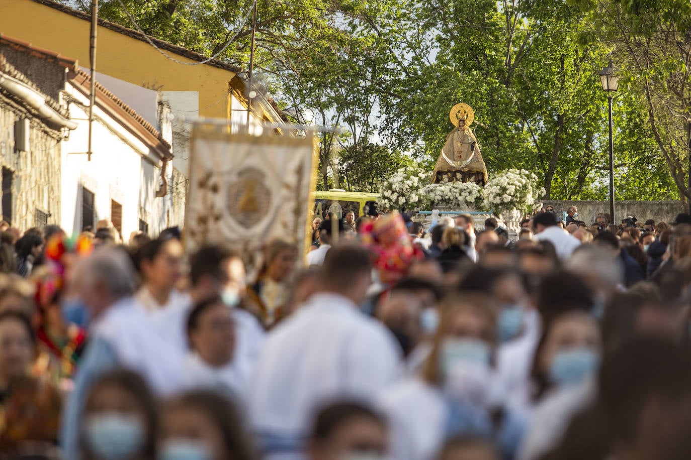 Fotos: Imágenes de la bajada de la Virgen de la Montaña