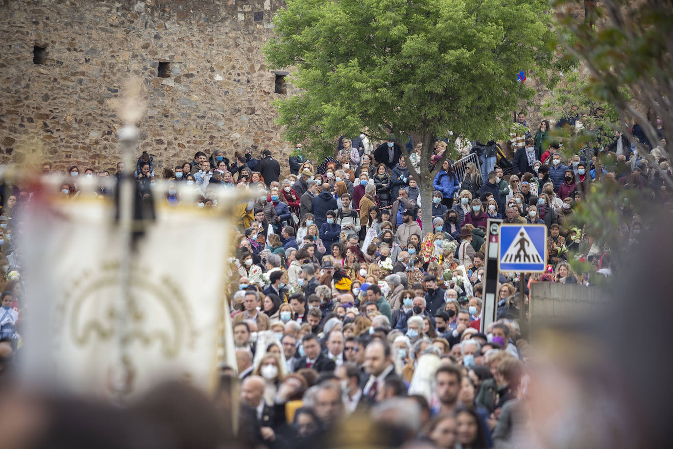 Fotos: Imágenes de la bajada de la Virgen de la Montaña