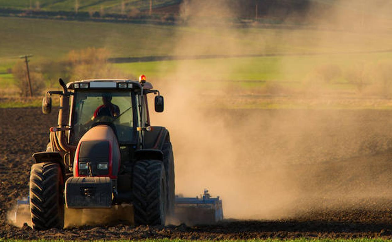 Imagen de archivo de un trabajador realizando tareas agrícolas con un tractor. 