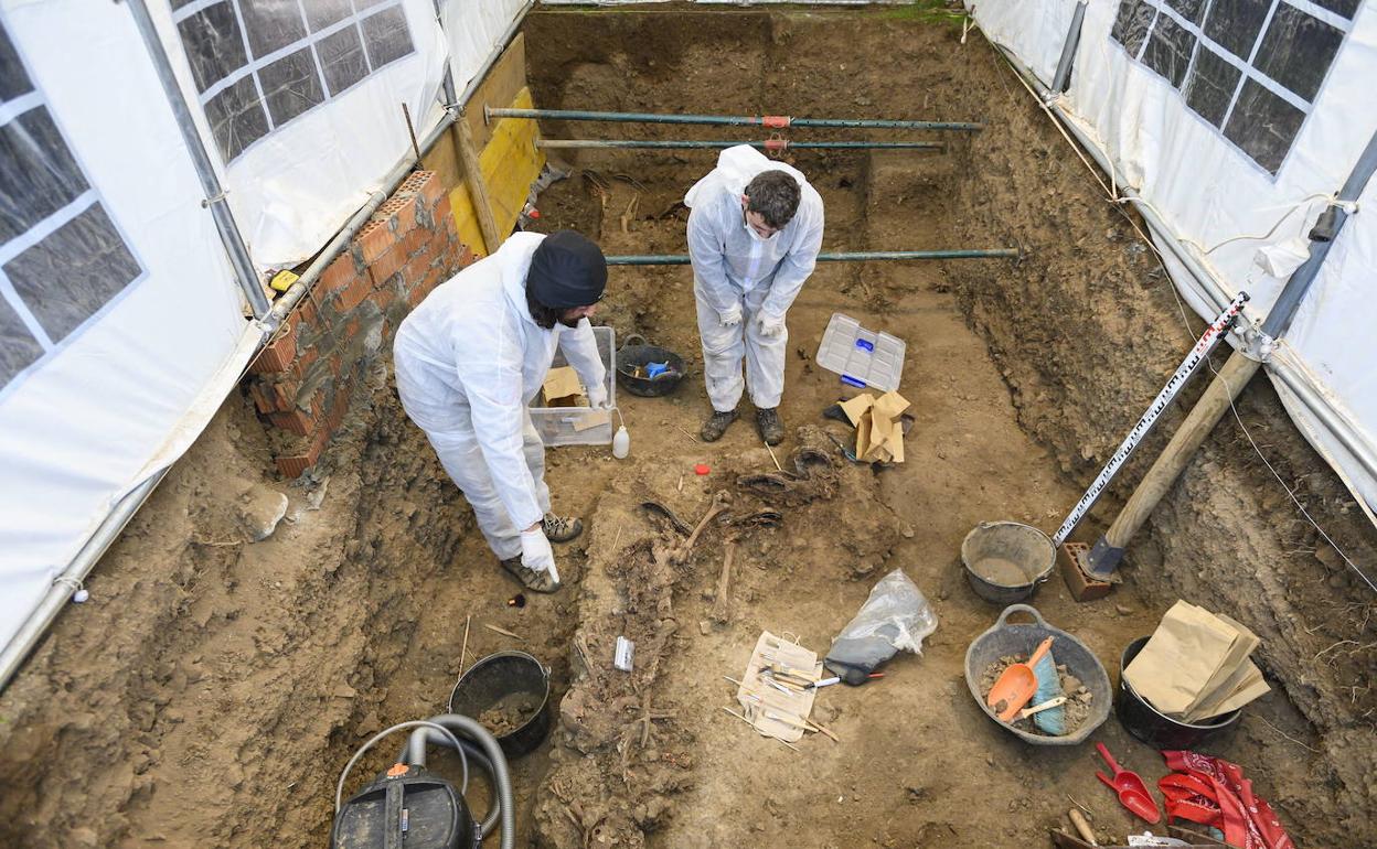 Exhumación de una fosa de la Guerra Civil en Fuentes de León, al sur de la provincia de Badajoz. 