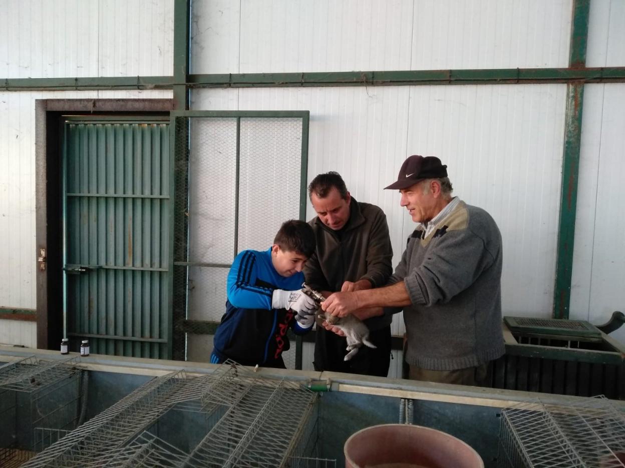 Desde los meses de febrero a junio se realizan los trabajos de reformas, limpieza, desinfección de las granjas y del coto. 