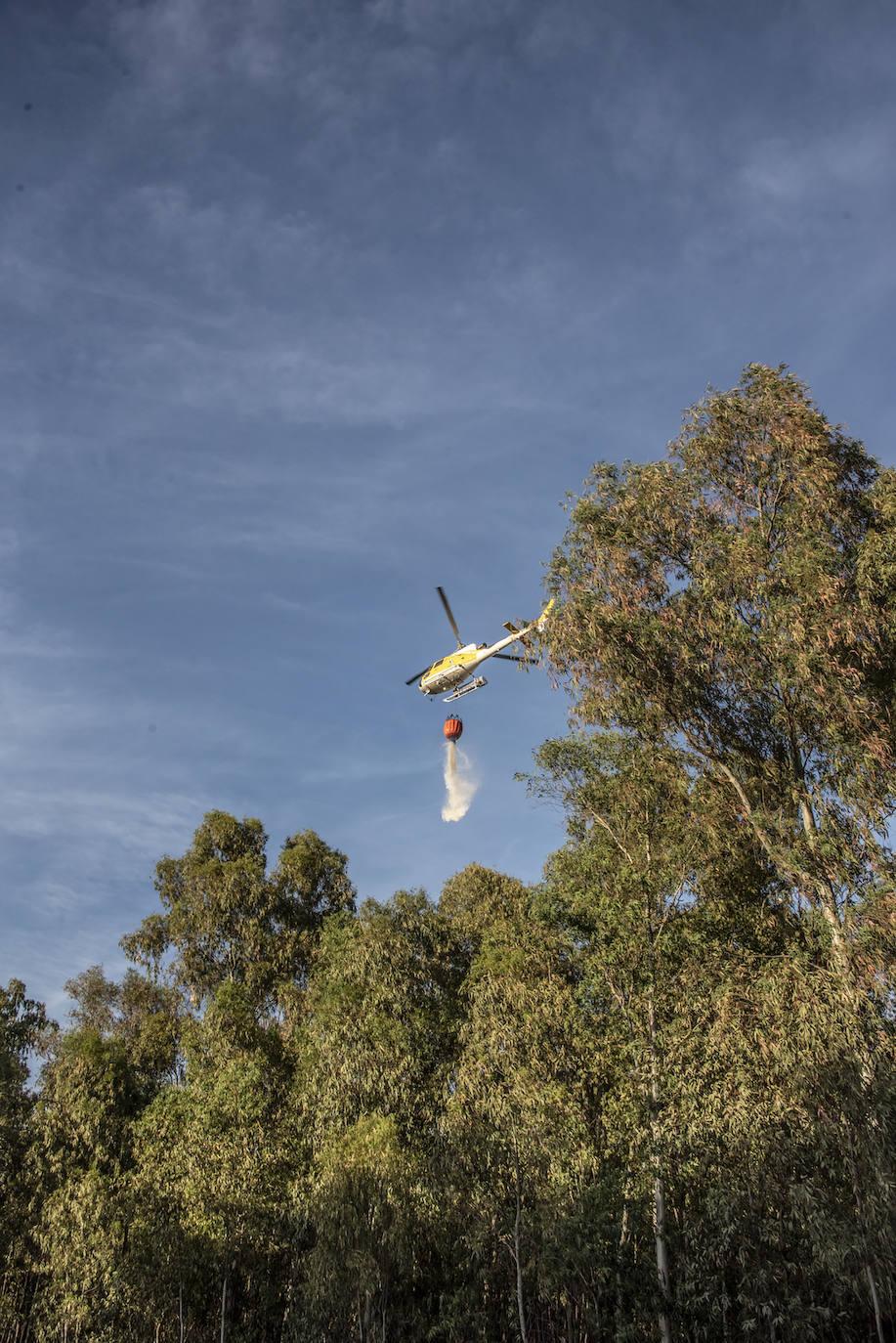 Fotos: El Infoex y los bomberos de Badajoz apagan un incendio cerca de El Faro