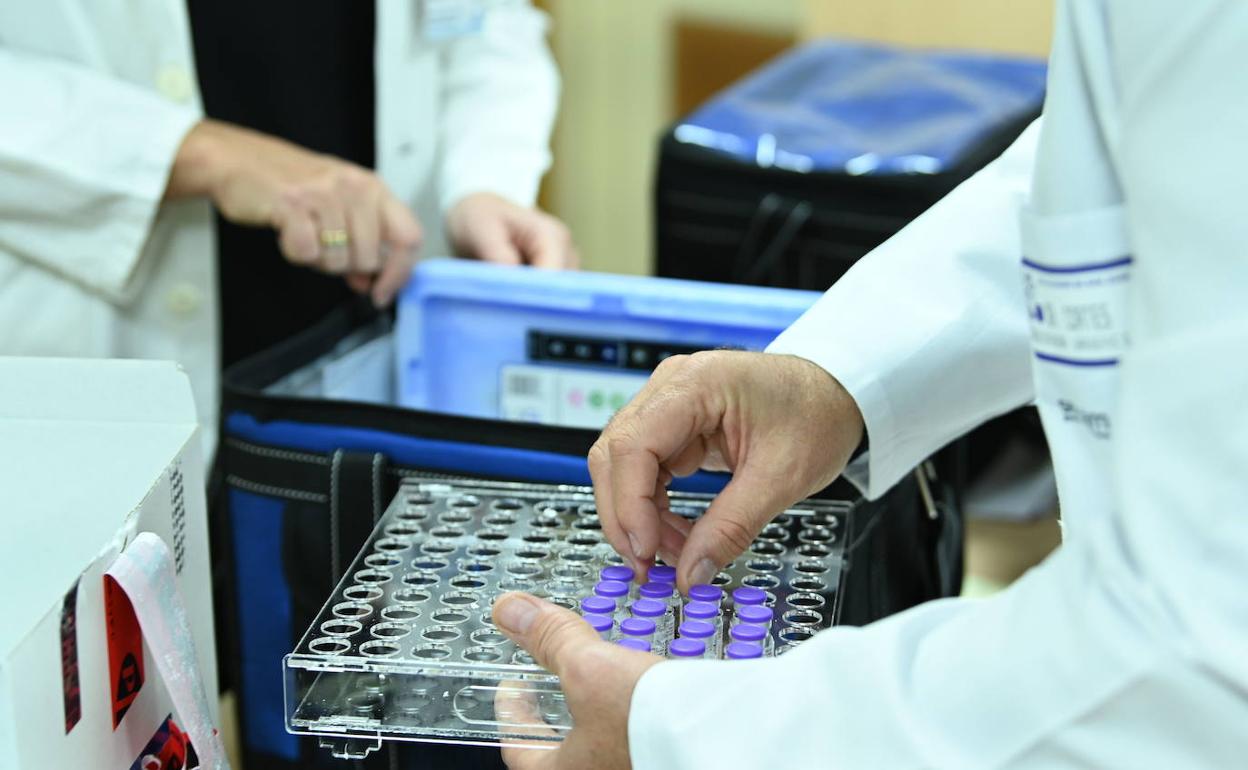 Coronavirus en Extremadura: Estas son las características de las nuevas variantes de covid que circulan por Extremadura