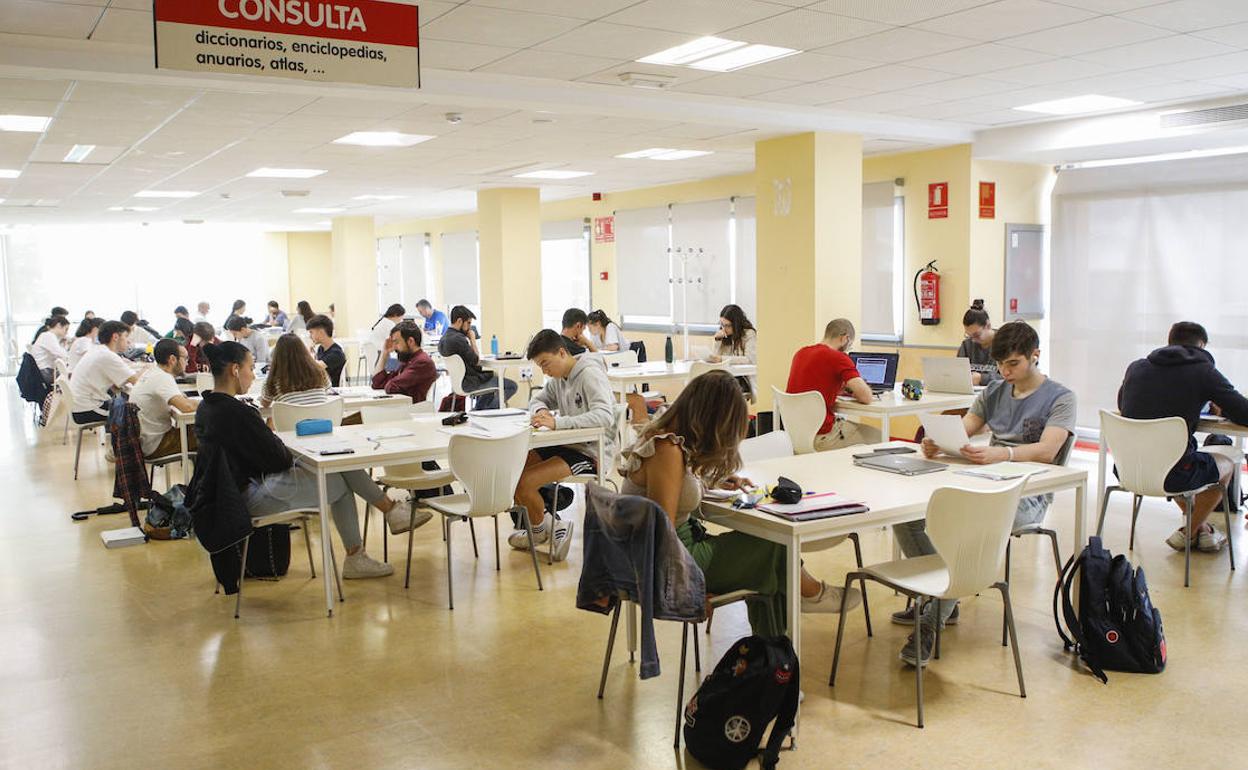 Aspirantes a Selectividad estudiando en la biblioteca pública de Cáceres. 