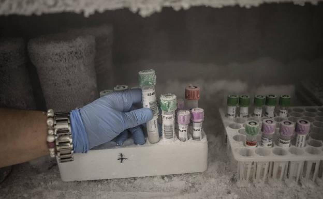 Lea las cinco noticias principales de este martes, 7 de junio de 2022