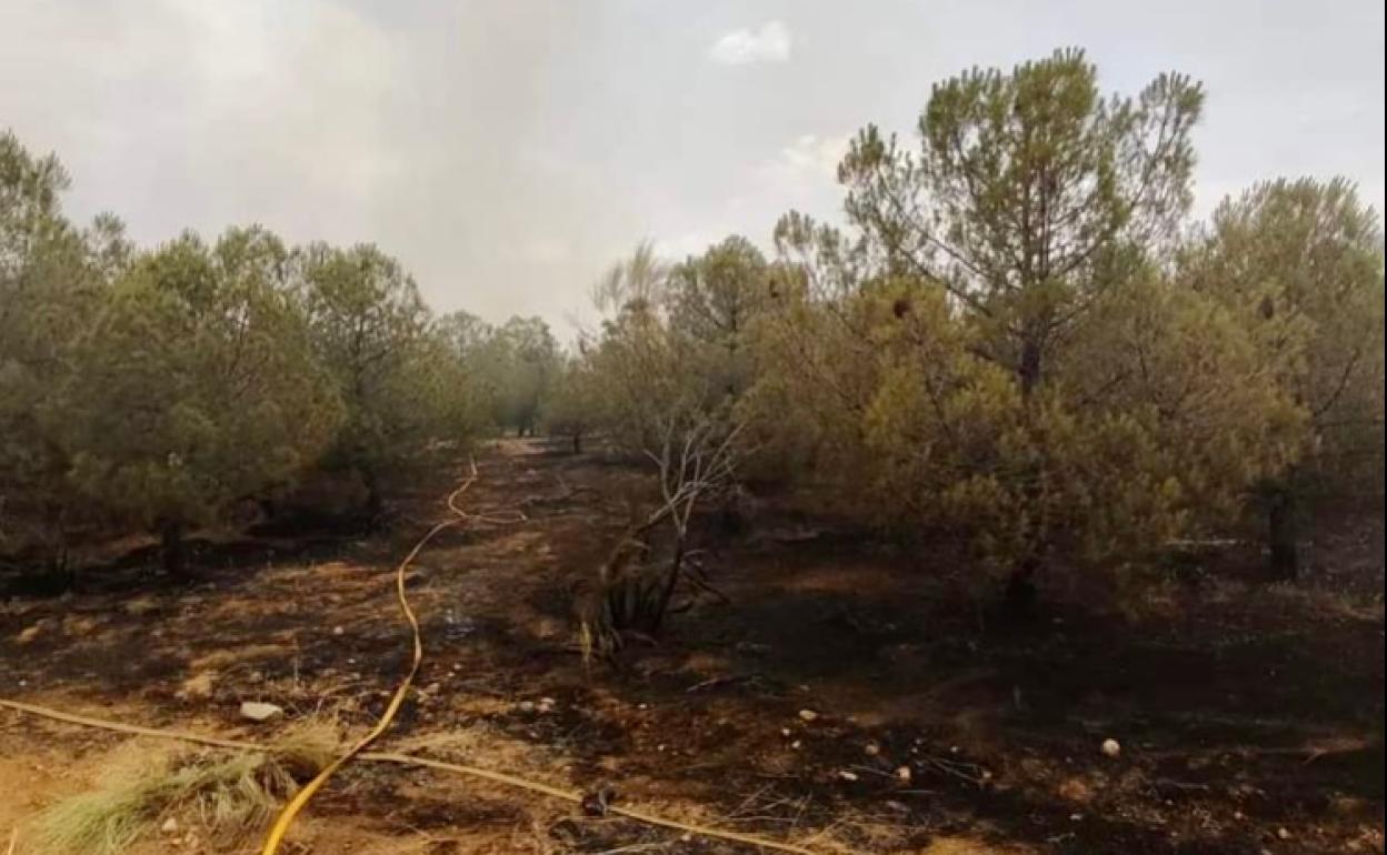 Evacuado el parque temático «Puy du Fou» por un incendio forestal